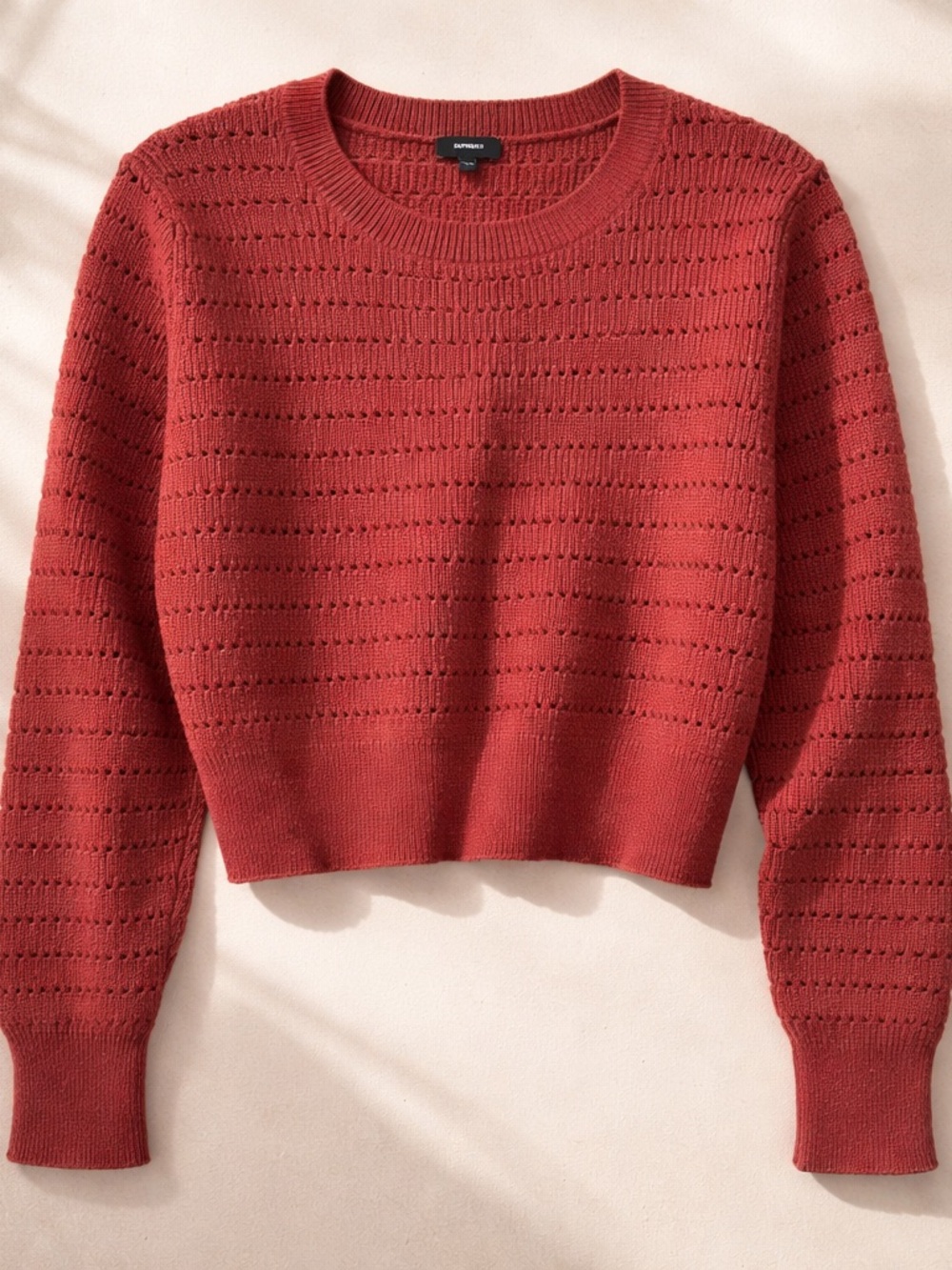 Express Cropped Eyelet Crewneck Sweater - Rust